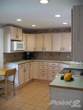 IMG_1293