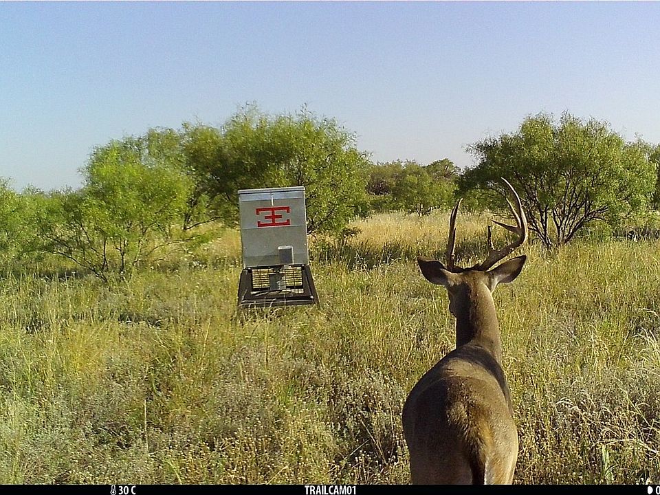 1st image of County Road 281