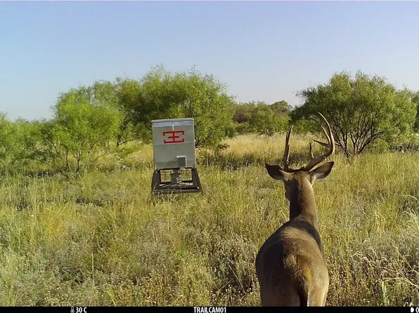 County Road 281, Mc Caulley, TX 79534