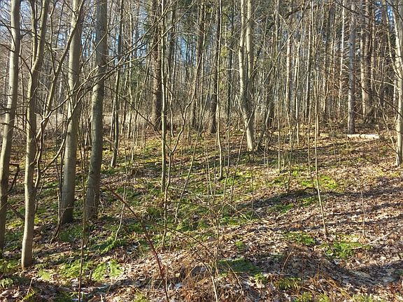 4th image of 1 Sherry Hollow Rd