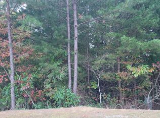 122 Old Orchard Rd, Ellijay, GA 30540