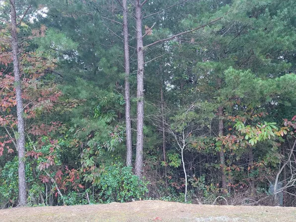 29 Aspen Ln, Ellijay, GA 30540