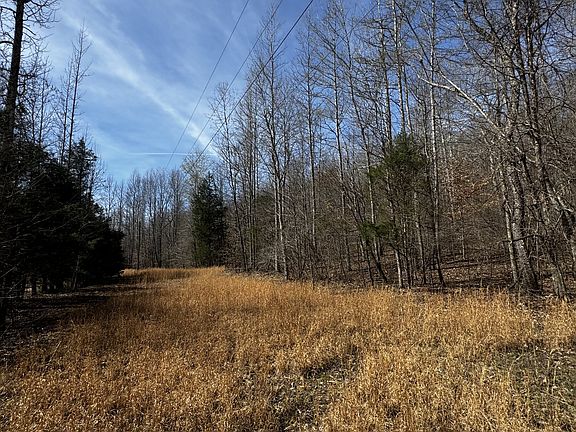 4th image of 301 Bobcat Rd