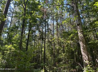 Easy St, Brandon, MS 39042