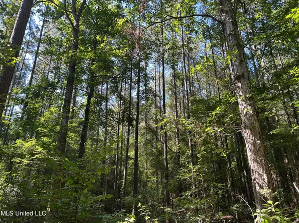 Easy St, Brandon, MS 39042