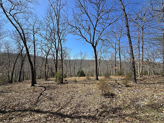 4th image of 7949 Ozark Ridge Dr