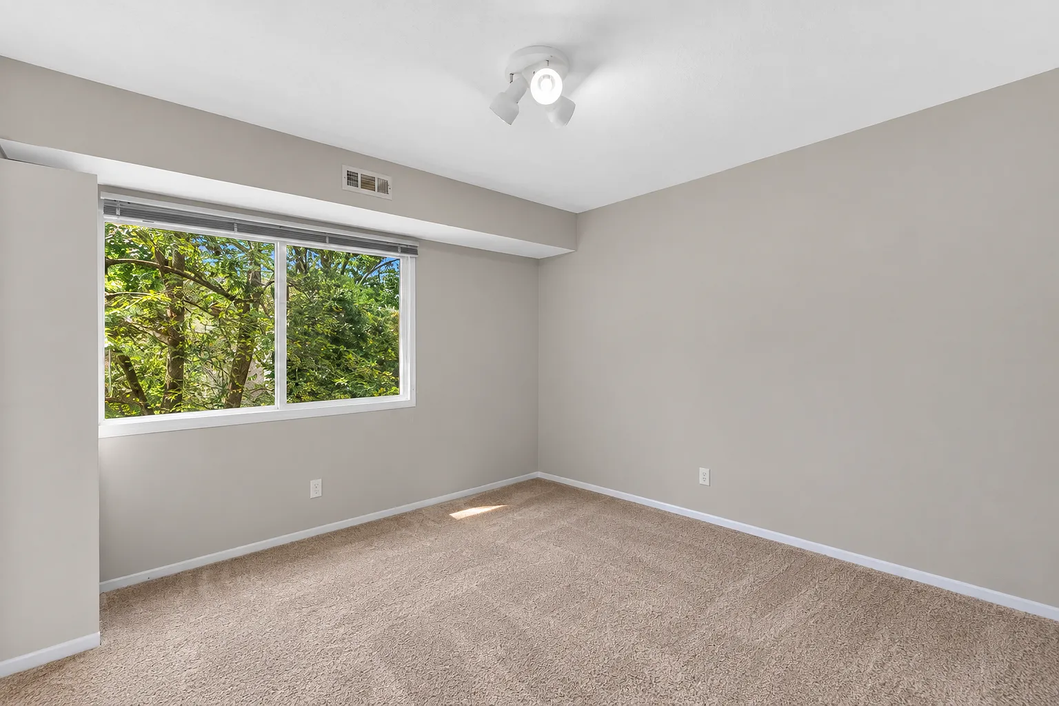 1 bed, $850 — Photo 1