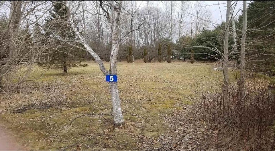 2nd image of 5 White Point Rd #2