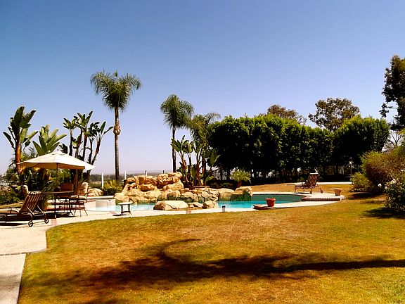 Custom Rock Feature Pool/Spa