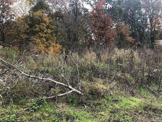 2nd image of 375 New Fox Rd