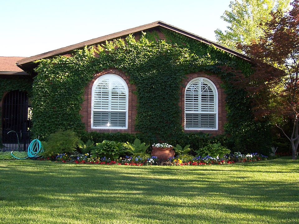 Ivy covered Cottage