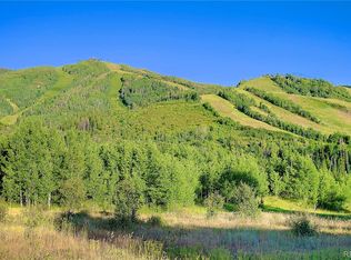 1379 Overlook Dr, Steamboat Springs, CO 80487