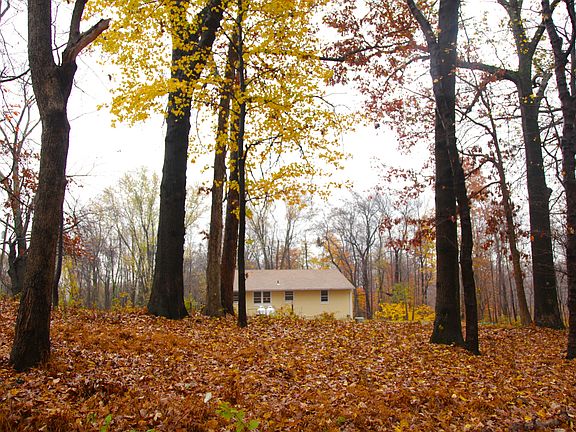 Private, wooded driveway leading to house