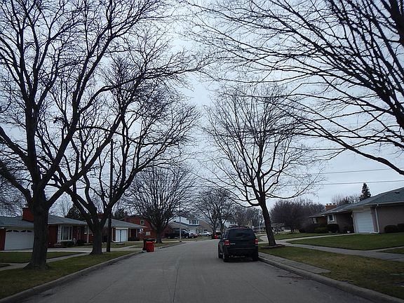 5th image of 31241 Greenhaven St