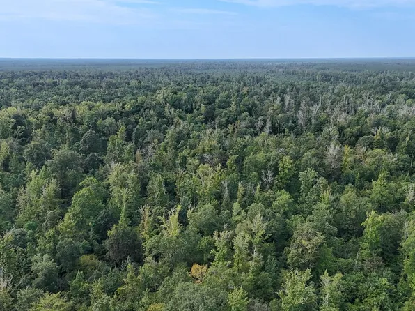 Country Rd #311, Hamburg, AR 71646