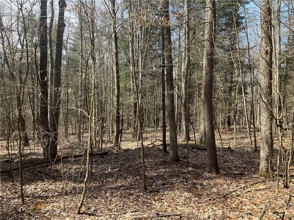 0 Junction Rd #14, Guilford, NY 13780