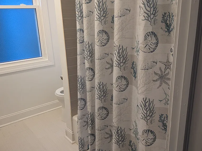 262 Rutledge Ave #2 — Photo 5