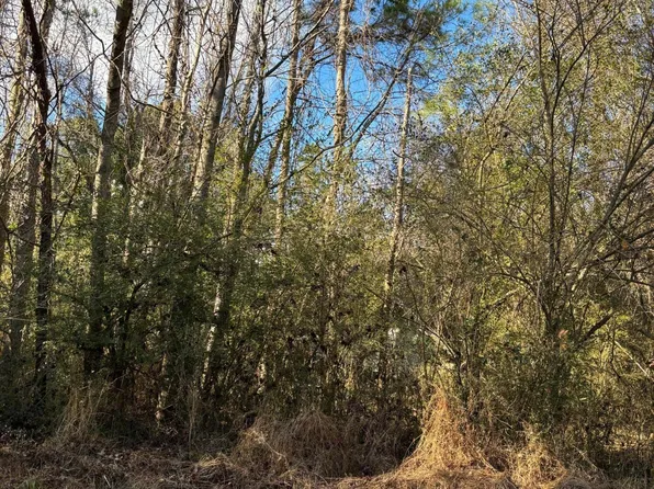 351 Burgaw Creek Loop Road, Burgaw, NC 28425