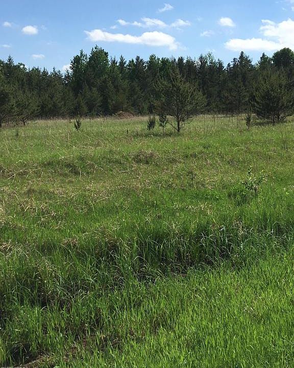 2nd image of 25125 County Road 7