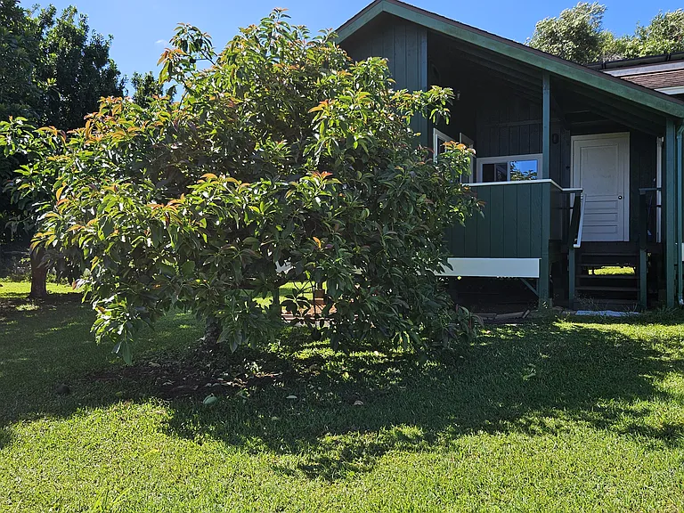 Kauhikoa Rd — Photo 2