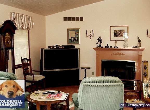 3rd image of 419 Hawthorne Dr