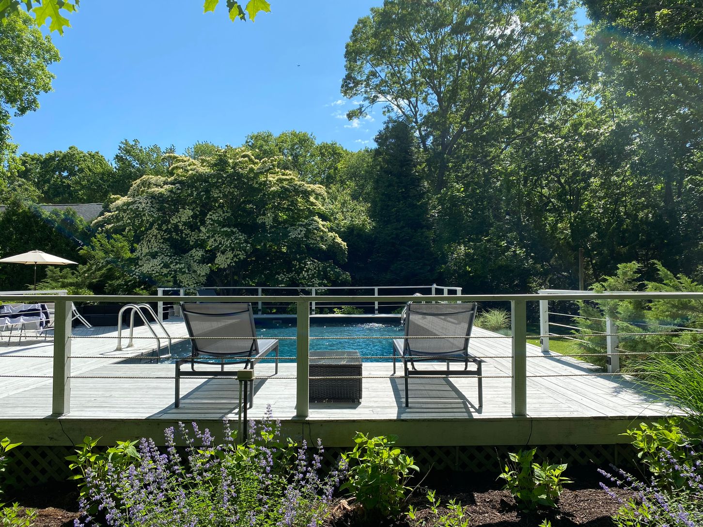 Very Private backyard