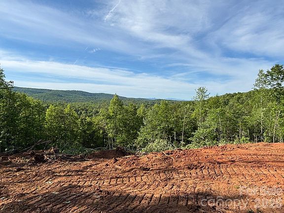 4th image of Vein Mountain Rd #6