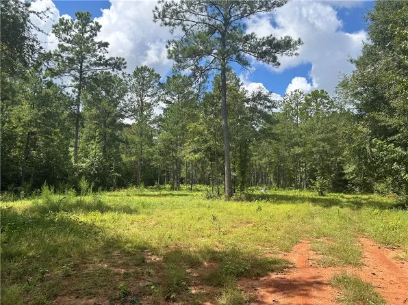 3209 County Road 177, Cusseta, AL 36852