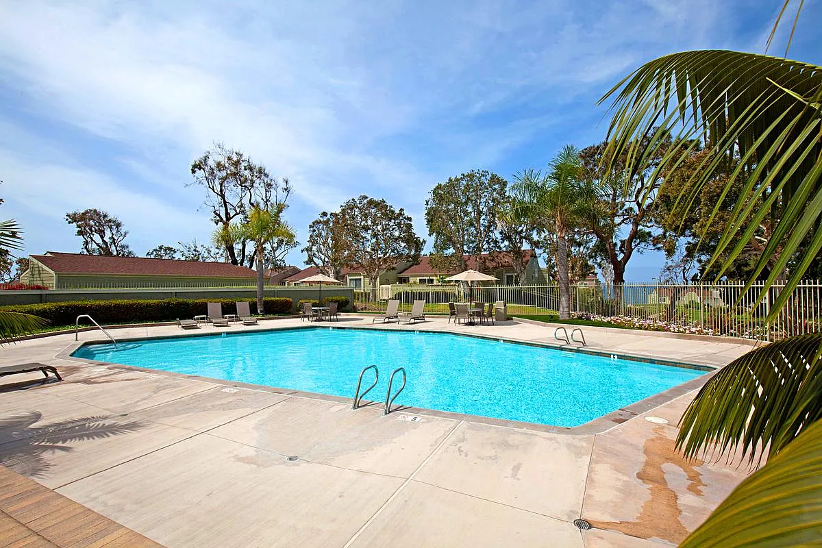 3 bed, 1616 sqft, $6,850 — Photo 4
