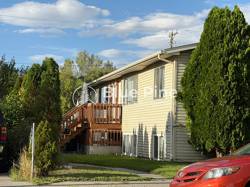 411 Gladstone St #1