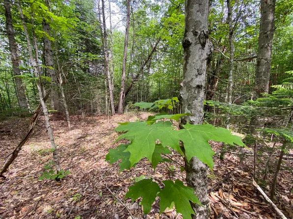 0 Fall Brook Road #2, Wheelock, VT 05851-000