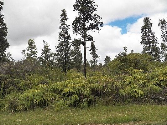 3rd image of Plumeria St Lot 6725