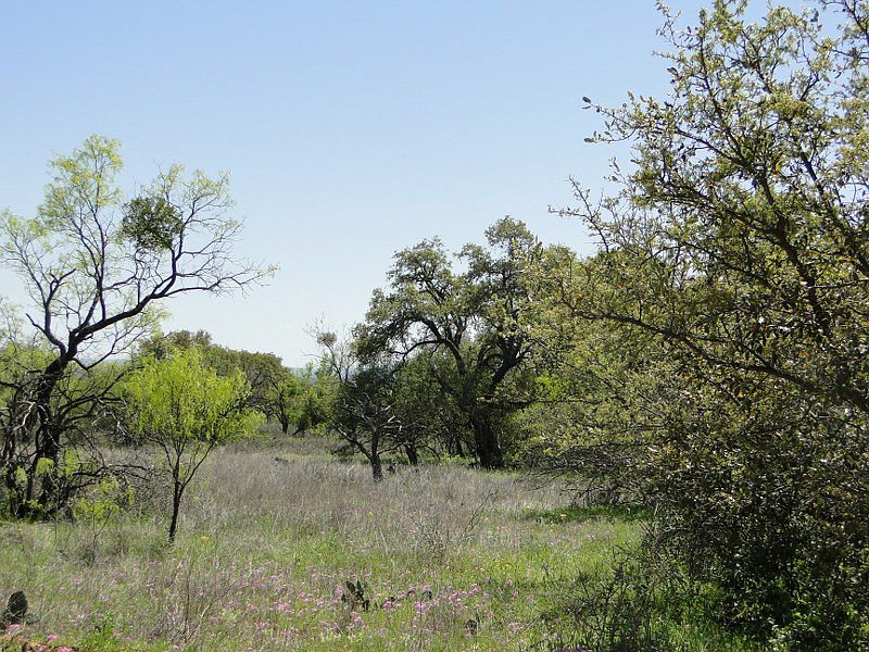 1st image of Wild Oak Acres Dr