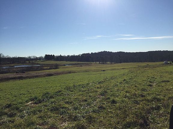 looking over the ponds