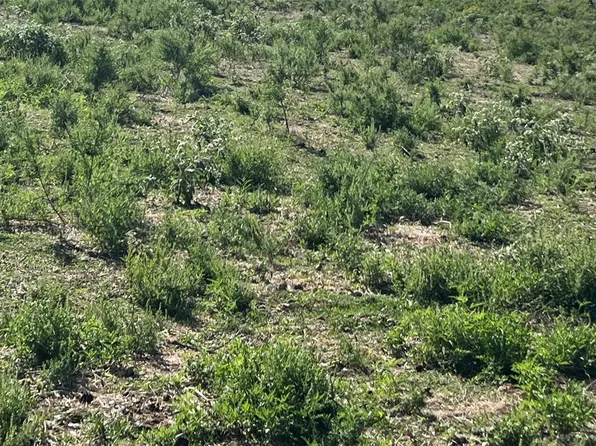 0 County Road 154, Kaufman, TX 75142