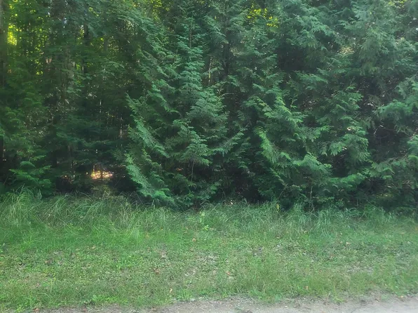 0 Birchwood Trl, Oscoda, MI 48750