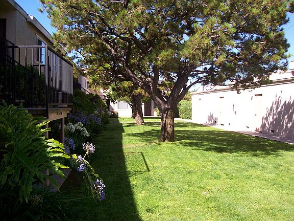 2nd image of 519 19th St #3