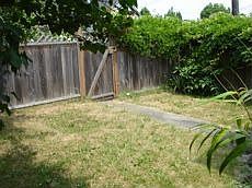 front yard