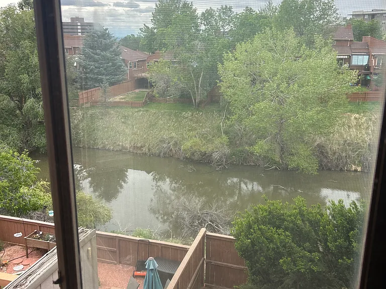 View from Bedroom #3