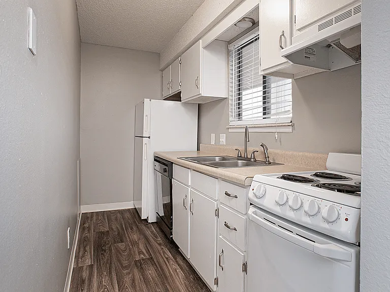 Galley Kitchen Style