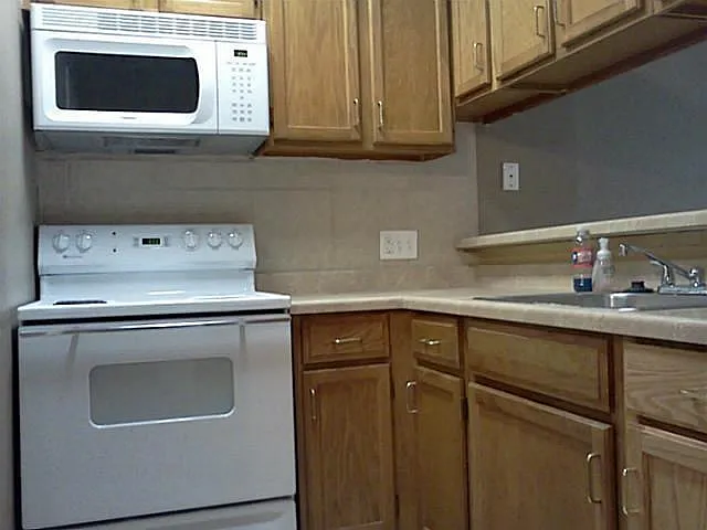 1 bed, 369 sqft, $1,100 — Photo 3