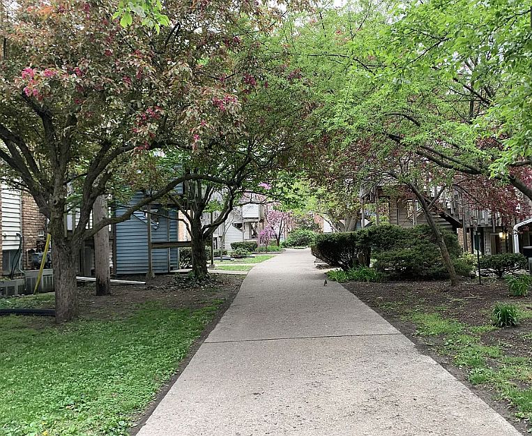 1st image of 1011 Francis Dr #15843853