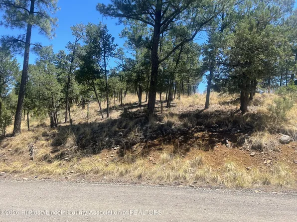 LOT 5 Pine Knot Trl, Alto, NM 88312