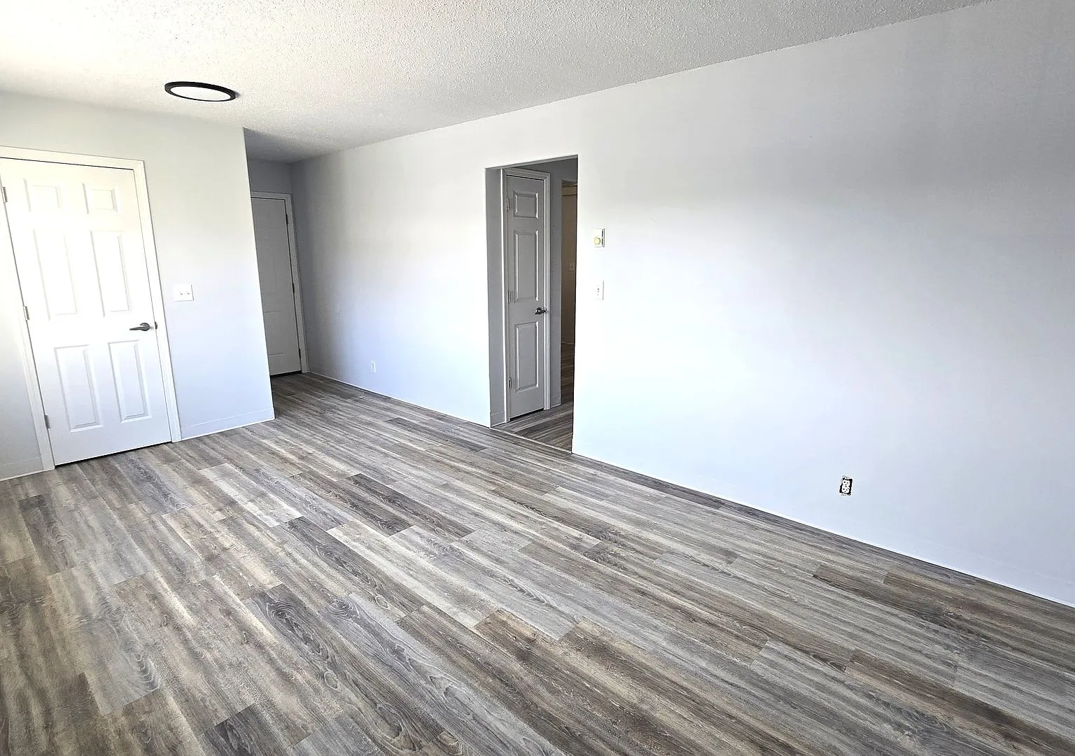 704 Vivian Street — Photo 3