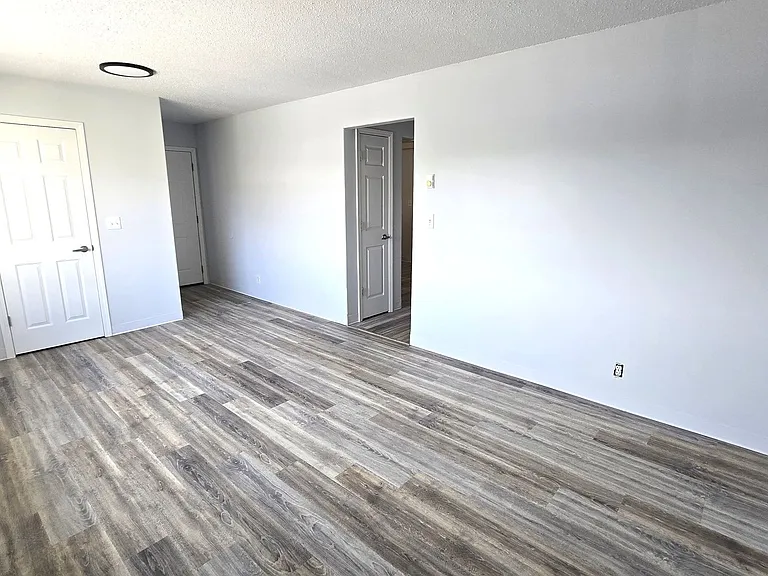 704 Vivian St — Photo 3