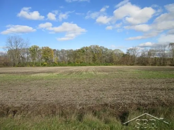 Seymour Rd, Burt, MI 48417