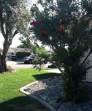 4th image of 8494 Garden St