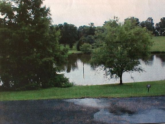 Pond in Front