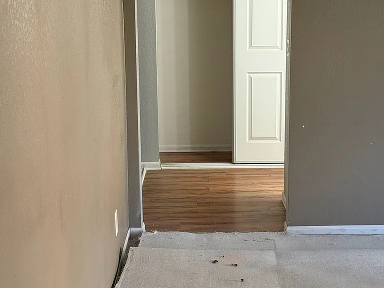 BEGINNING BEFORE PICTURES. Old version of no door and carpet in Primary and vinyl is bath