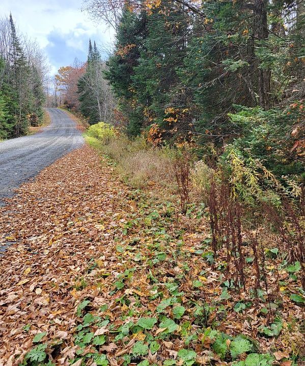 1st image of 0 Haines Lake Rd